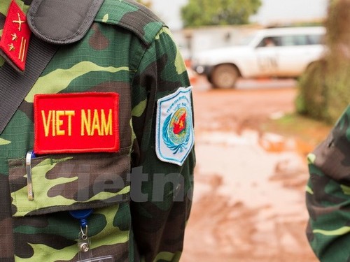 Руководители минобороны Вьетнама поручили задачи офицерам-участникам миротворческой миссии - ảnh 1
